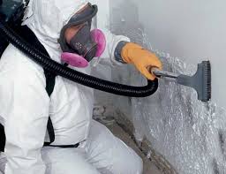 Best Residential Mold Inspection & Testing in Magna, UT